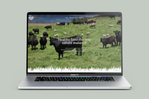 regen to market website design home page on laptop by angle limited